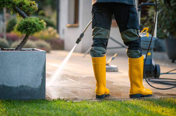 Professional Pressure Washing in Blennerhassett, WV
